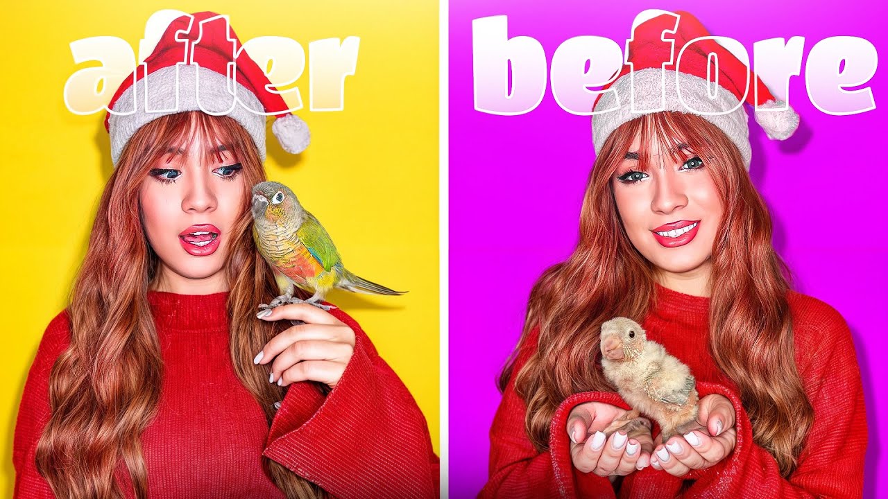 از سِرِلاک تا آجیل🌰 جوجه‌ی یه طوطی خاص رو بزرگ کردم!🦜