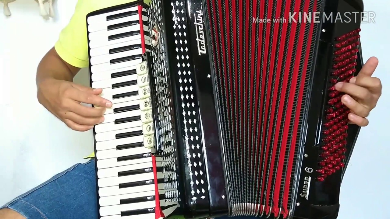 Vídeo aula acordeon Boate azul bem detalhada