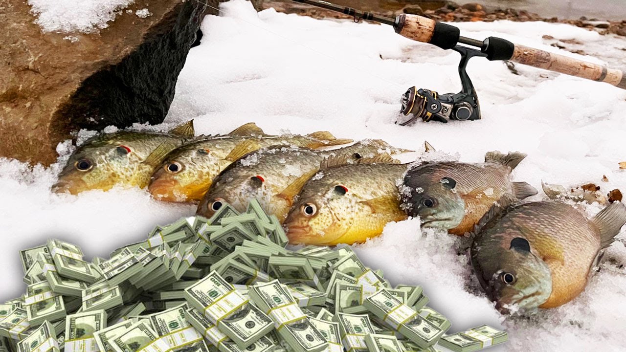 Winter Bluegill Fishing Tips + How much money I made in ONE YEAR as a YOUTUBE fishing channel!