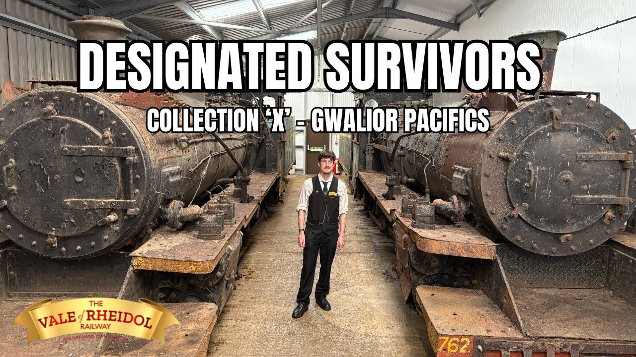 Designated Survivors - Collection X Gwalior Pacifics