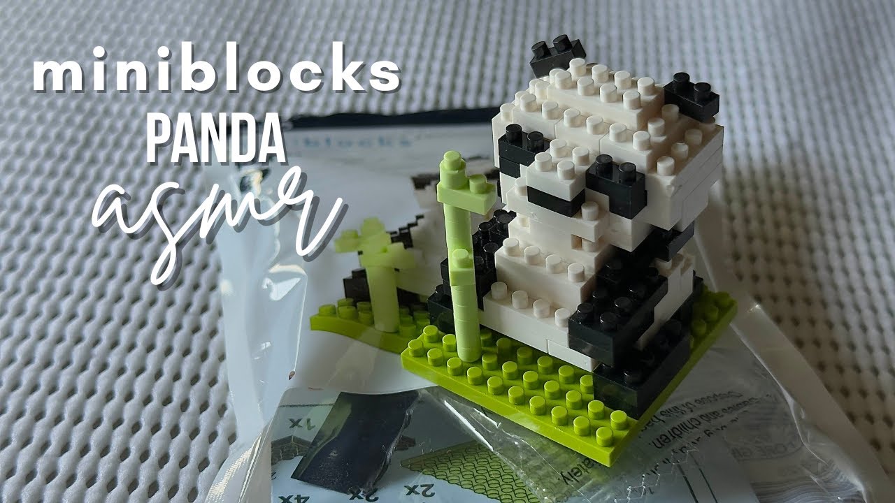 Relaxing Miniblocks Panda Build | My First ASMR Unboxing (No Talking)