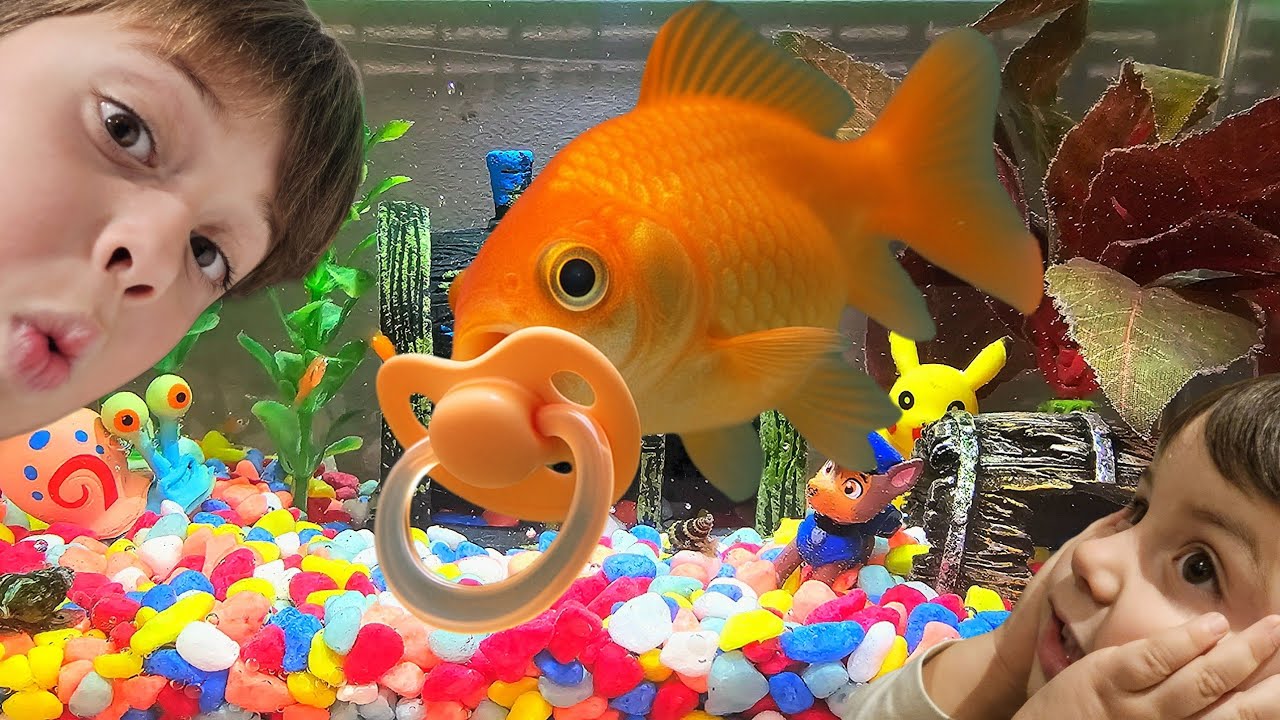 CONSTRUIMOS UN PARQUE DE BOLAS ACUÁTICO PARA PECES BEBÉS RESCATADOS!!! BICHITOS BROS!