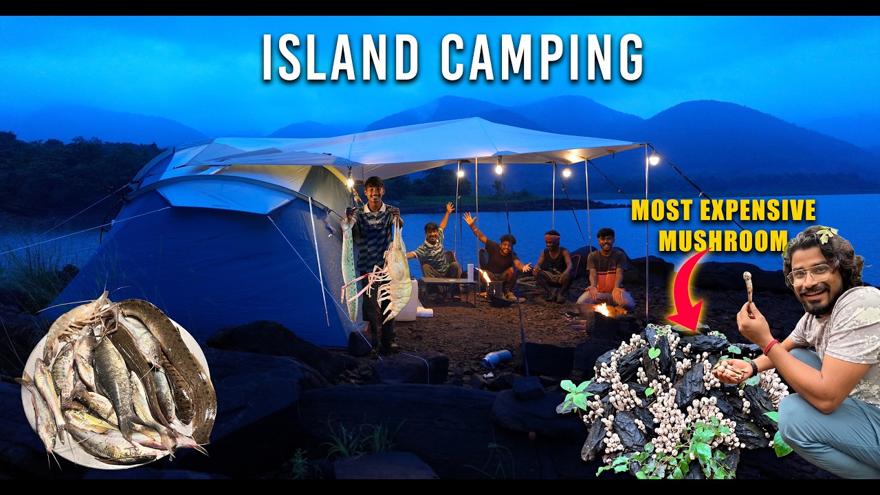 We Found the MOST EXPENSIVE Mushroom! (Island Rain Camping & Night Fishing)