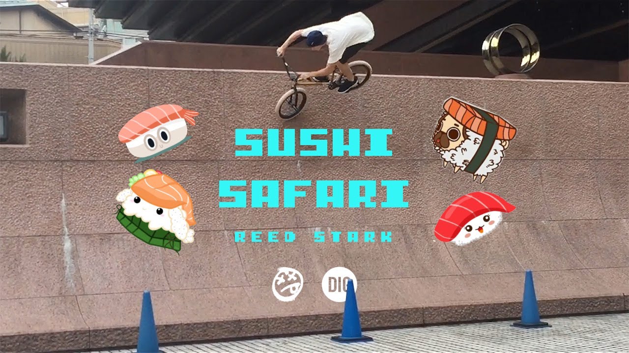 REED STARK - SUSHI SAFARI - DIG X BSD