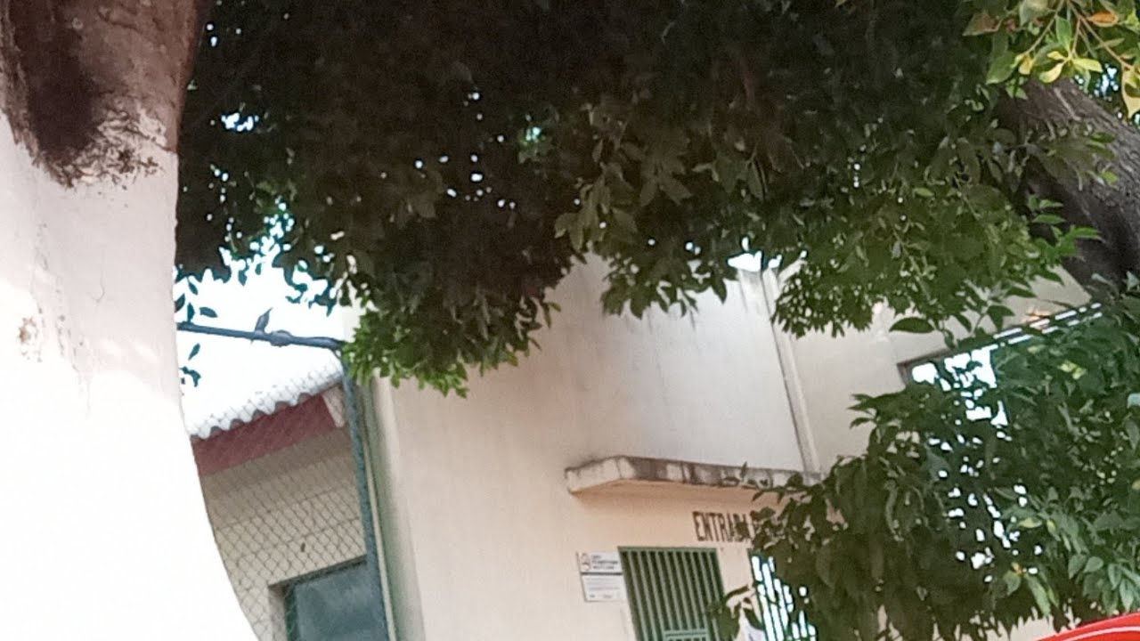 ORGULLO O AUTODEFENSA MENTAL ... APLICADO
