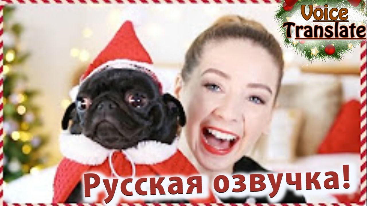 1 DAY of 24 days of Zoella │ РУССКАЯ ОЗВУЧКА!│November favorites