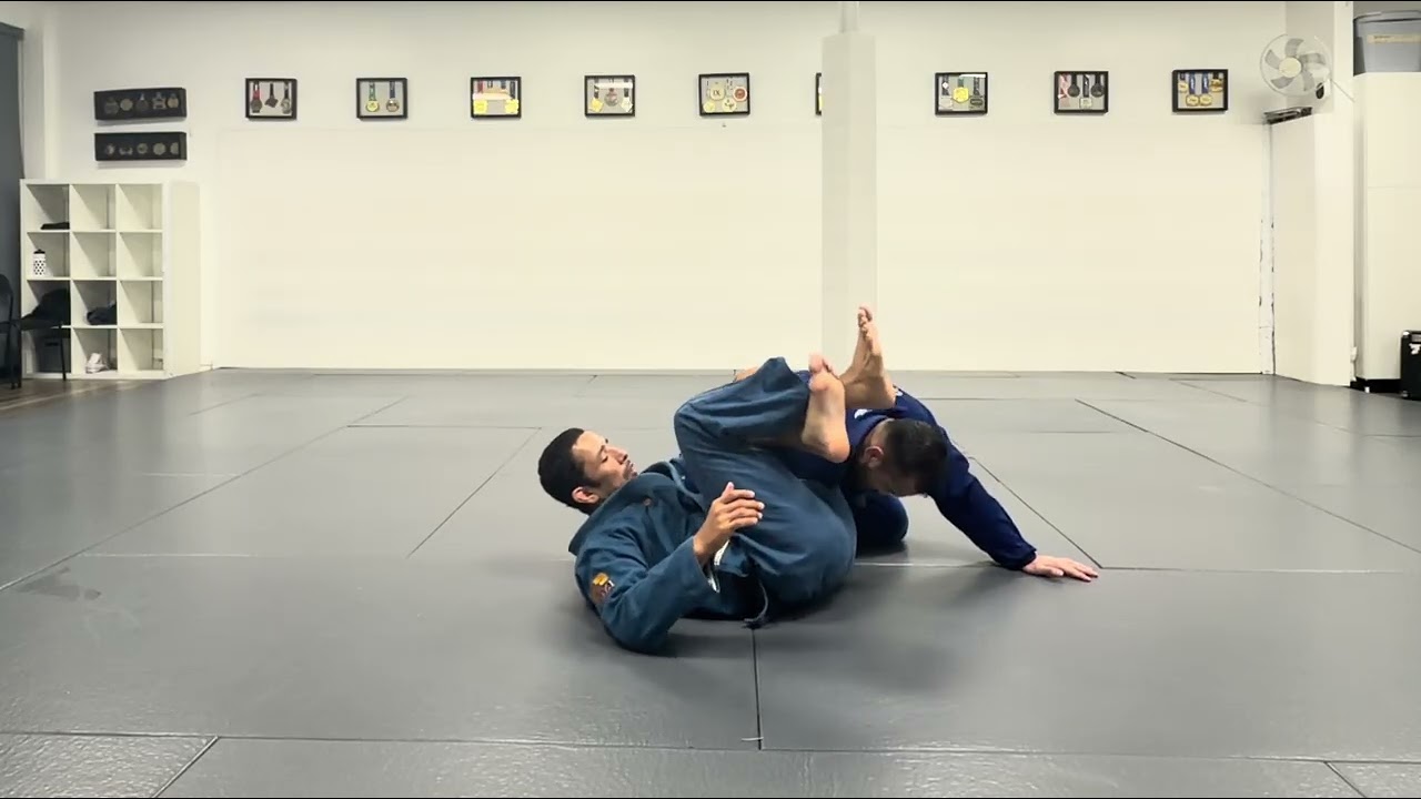 Week 3: Spider Lapel to Omoplata Variation
