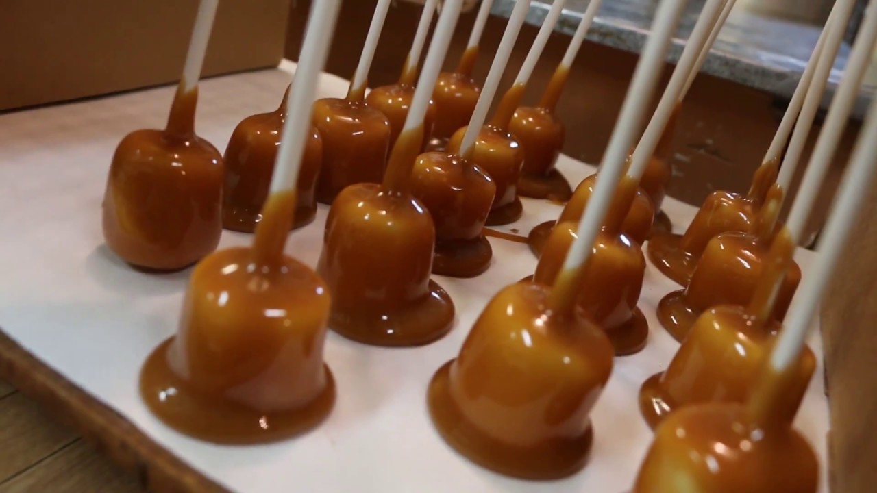 How To Make a Turtle Pop