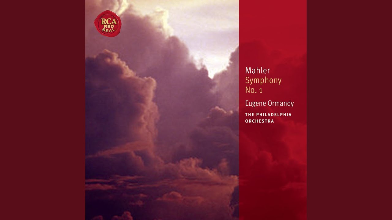 Symphony No. 1 in D: Andante allegretto (