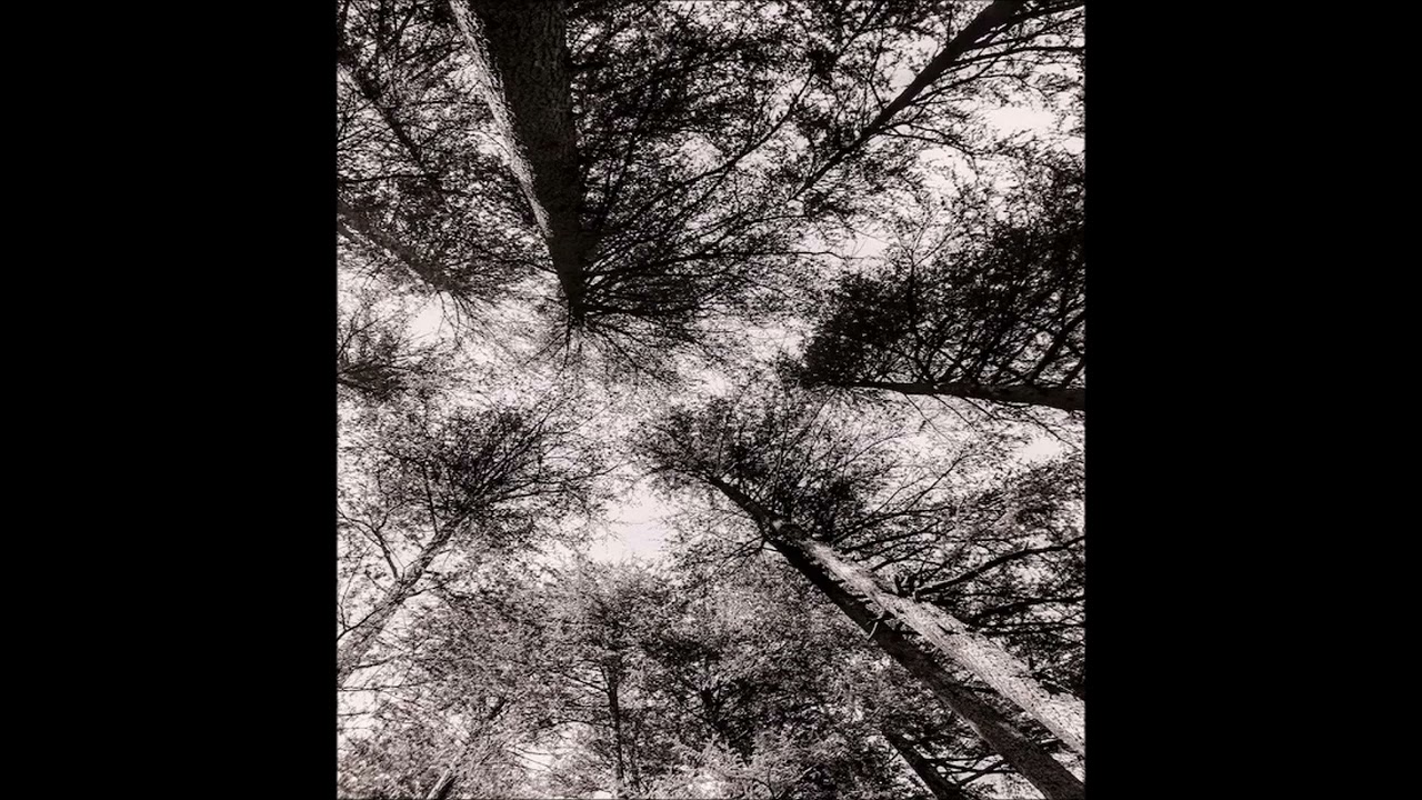 VA Raw Black Metal Portugal - Vol. 1 (COMPILATION STREAM)