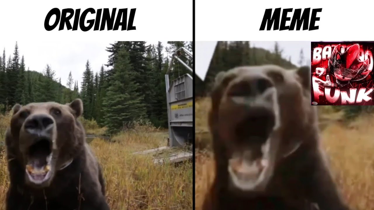 Laggy Bear Original vs Meme