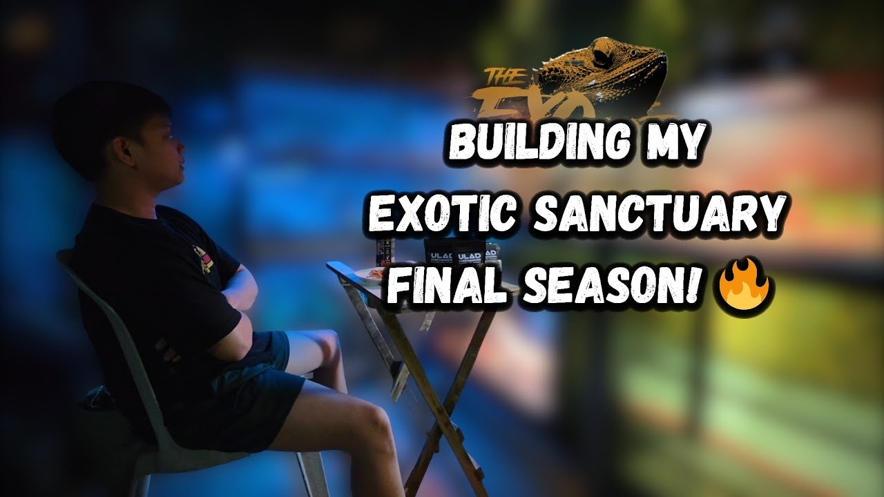 Building my exotic sanctuary: Final Season ! 🔥