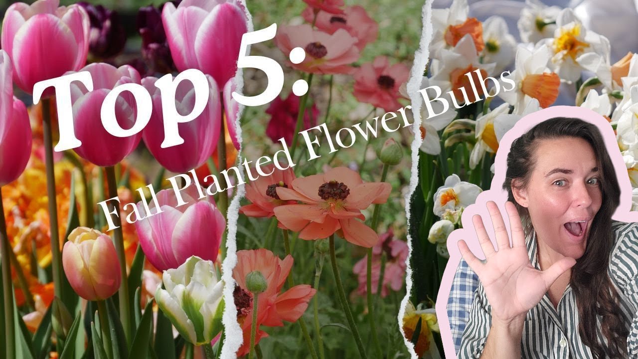 TOP 5: Best Fall-Planted Bulbs for Cut Flowers // Backyard Cut Flower Farm