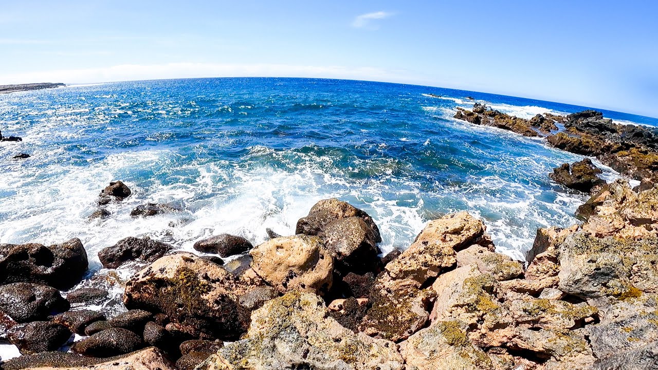 Remote Hawaiian Foraging – Harvesting Opihi & Limu Off Hawaii!