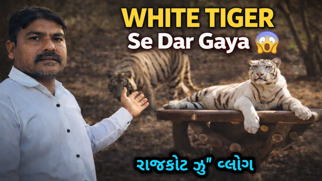 White Tiger Dekha 😱 | Family Zoo Vlog 2026