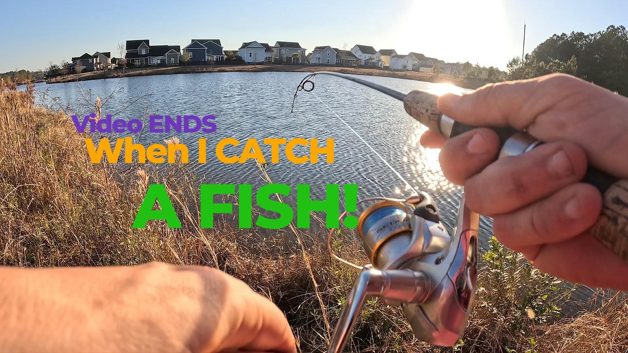 Video Ends when I CATCH a Fish!