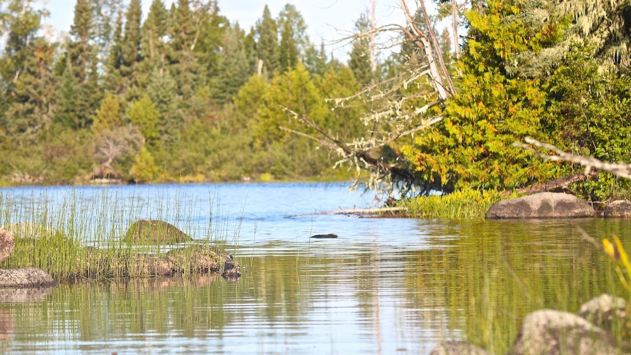 Exploring 3 Unnamed Back Lakes North Of Nakina