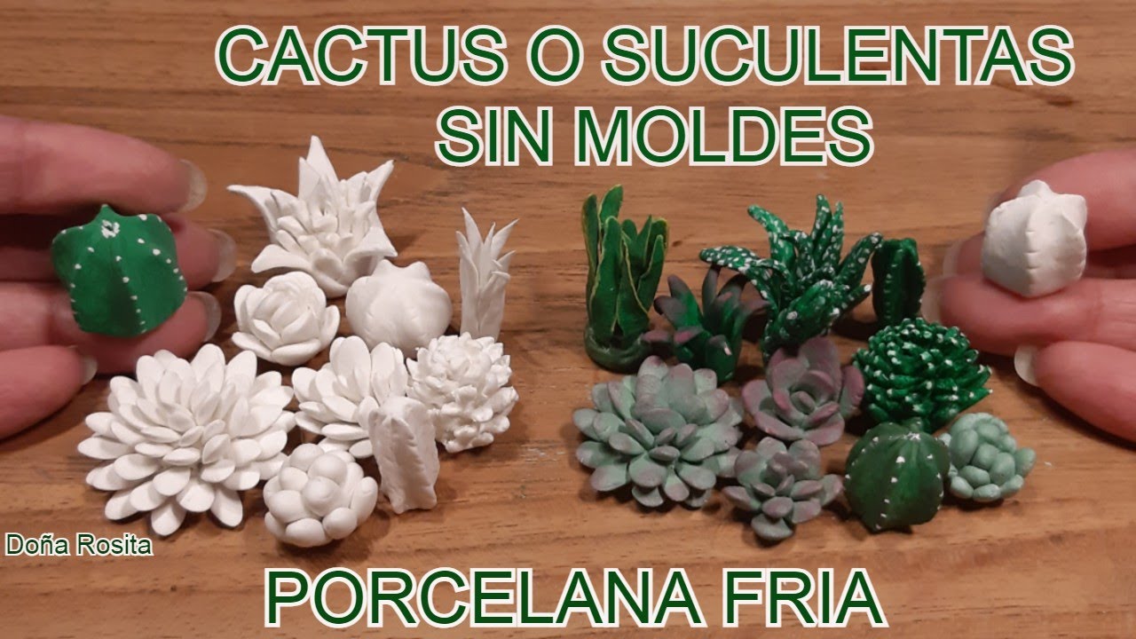 🤩MIRA!!!! COMO HACER CACTUS Y SUCULENTAS CON PORCELANA FRIA O MASA FLEXIBLE SIN MOLDES 🌵🌵🌵