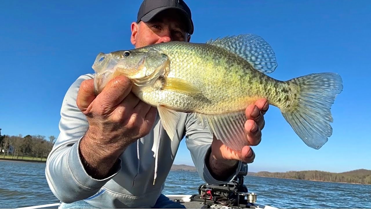 2d sonar will put crappie in your boat!!               Watts Bar @BluecollarCrappie