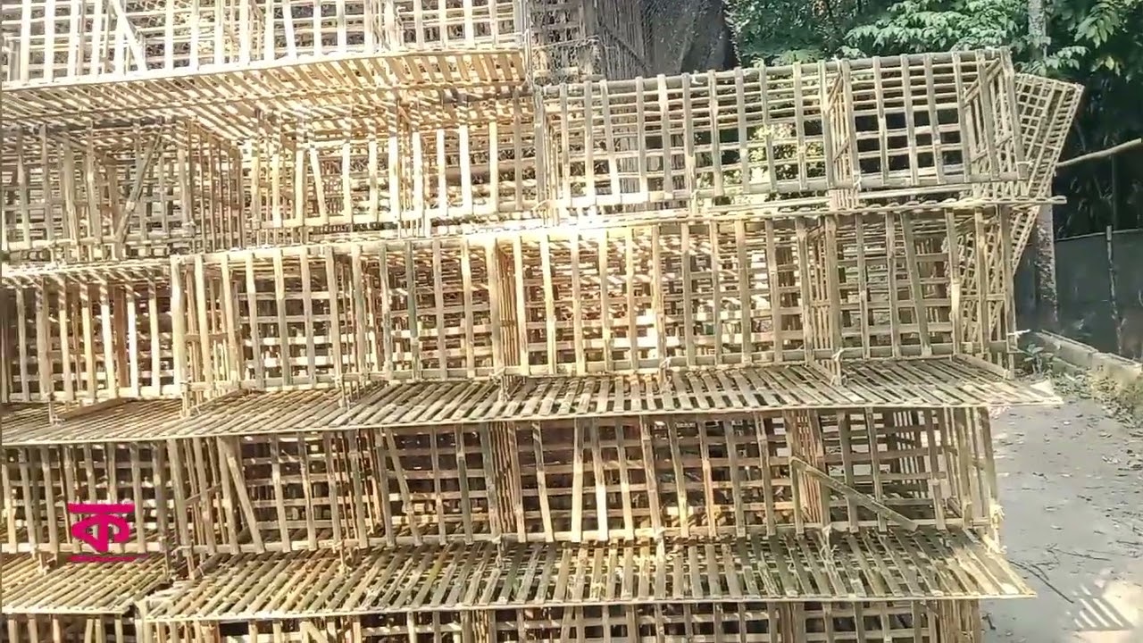 লেয়ার মুরগীর বাঁশের খাঁচা সুলভ মূল্যে তৈরি করা হয় নিখুত কারিগর রশিদুল ভাই 01791018525