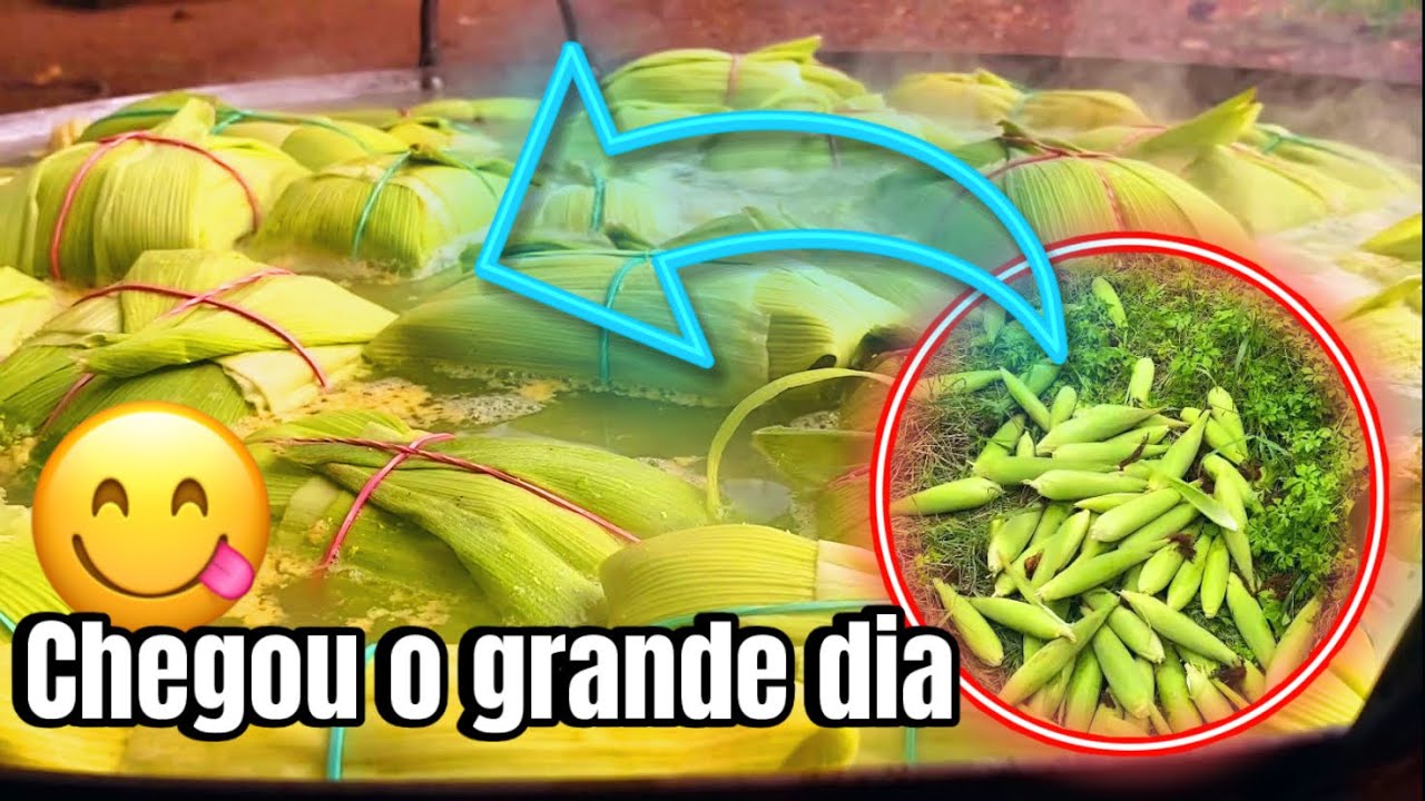 1° DIA FAZENDO PAMONHA | MUITO MILHO 😱🌽