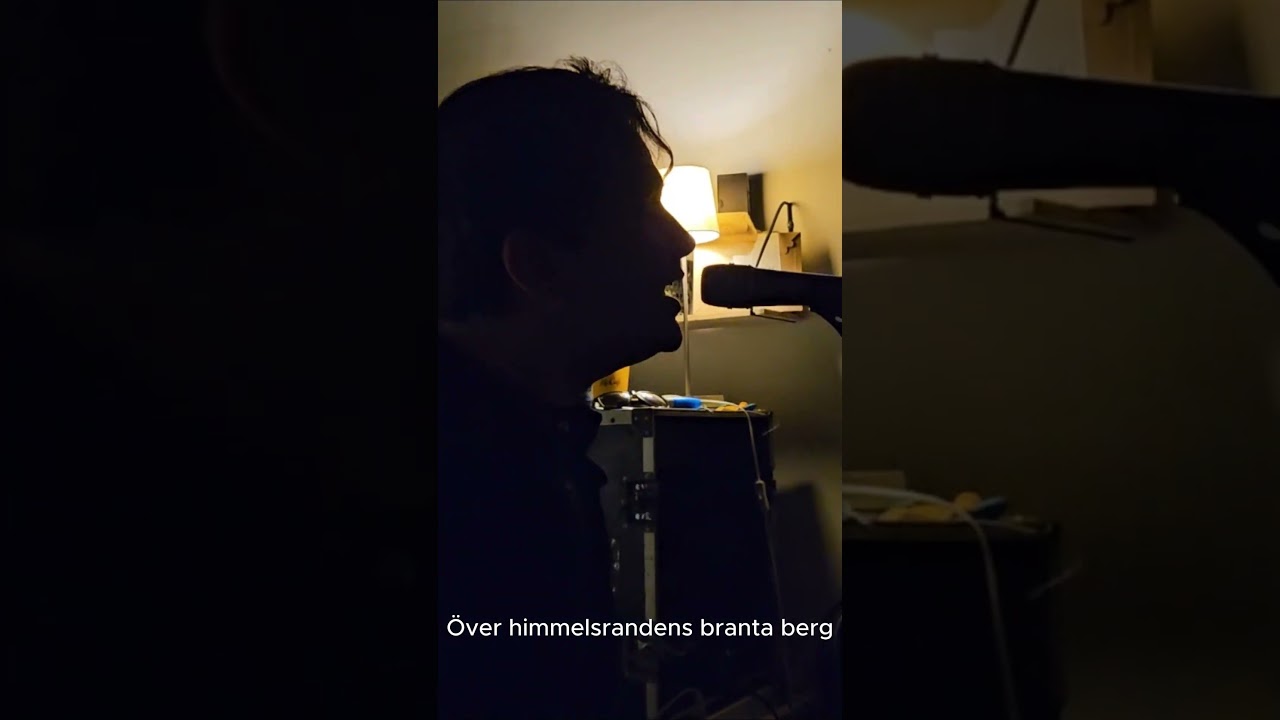 V&auml;sterljung - Tusen mil #punkrock #punk #svenskpunk