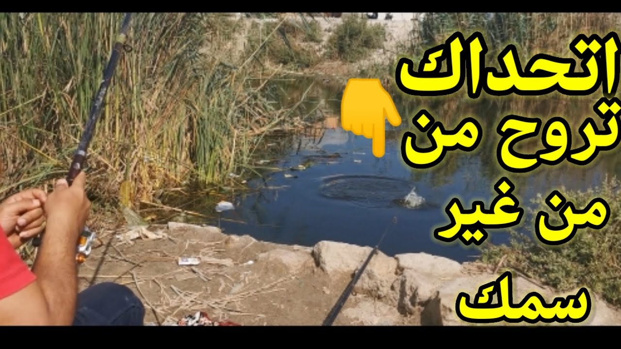 مكان مفاجأة ومليان احجام تقيلة||وانت وشطرتك||واللوكيشن تحت👇👇#hook_fishing #صيد_السمك