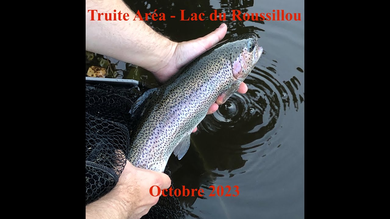 Petit séjour chez Truite Aréa au Cantal - Octobre 2023