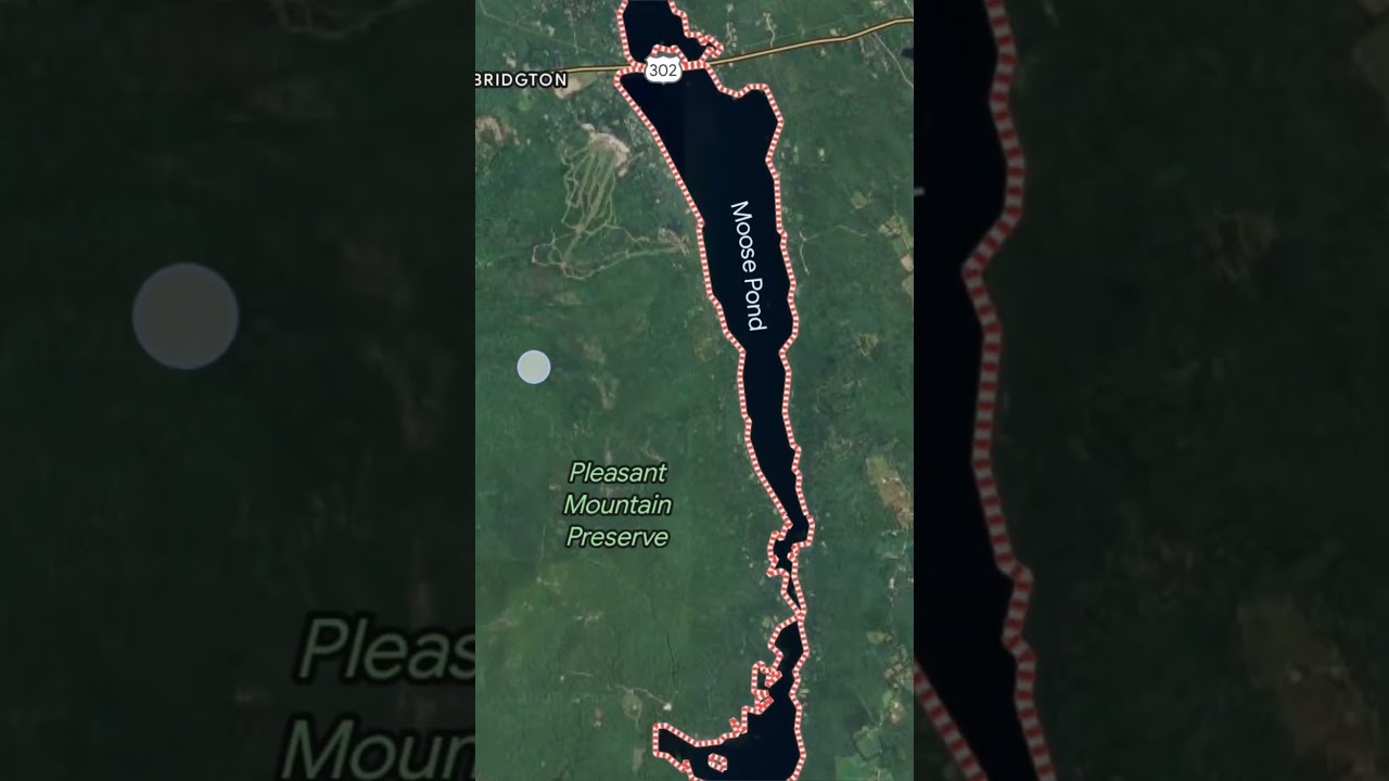 Maine State Record Bass! #shorts