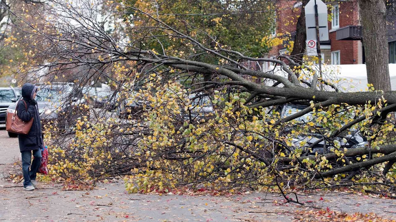 Quebec storm leaves over 900,000 customers without power