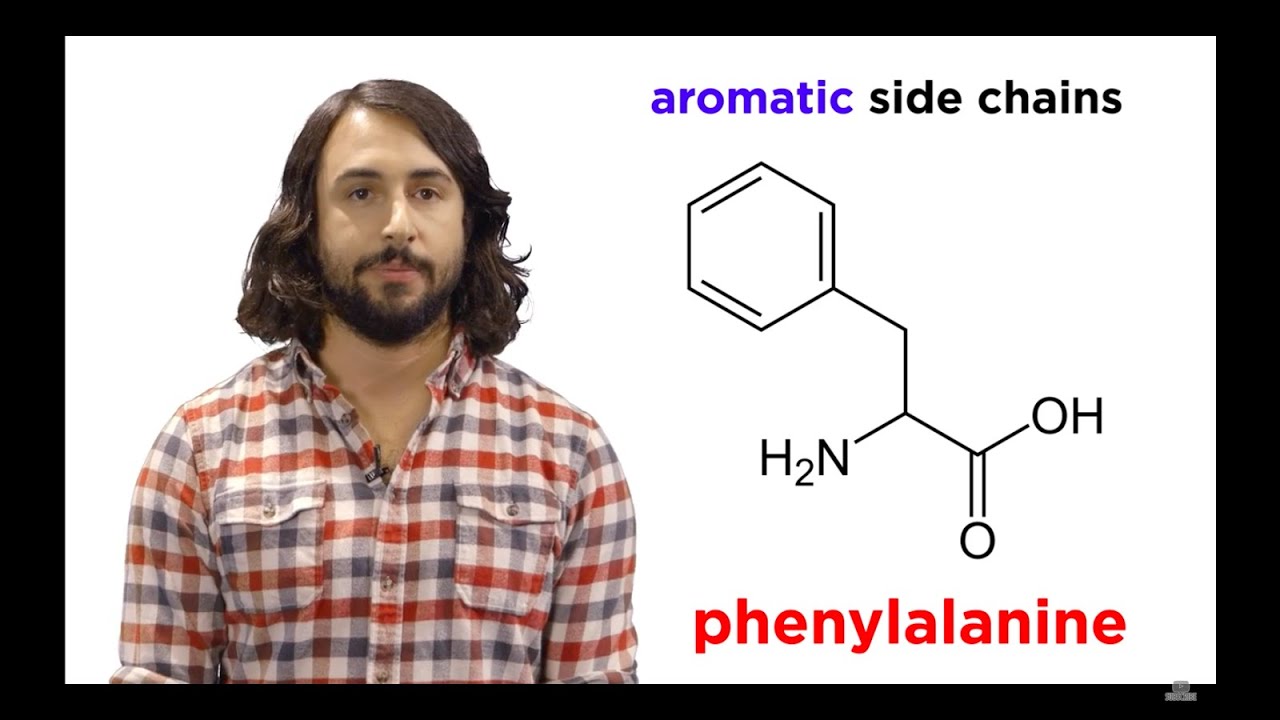 Amino Acids