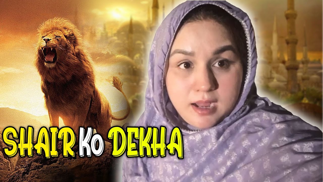 Big Zoo Main Big Lion Dekha  😍 Misbah Abid Universe  #lion #vlogs