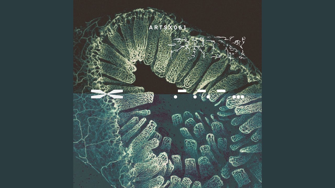 Turbidity