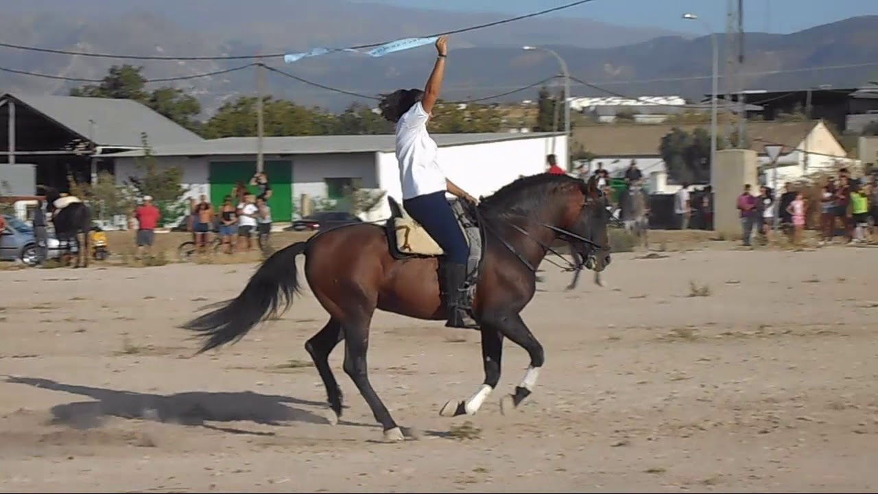 Carrera de Cintas a Caballo en Alhendín (Granada) 2017
