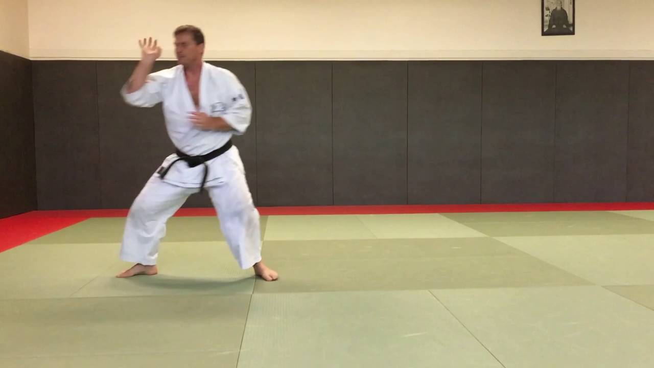 Goju-ryu Shodokan Marc Bachraty Shisochin