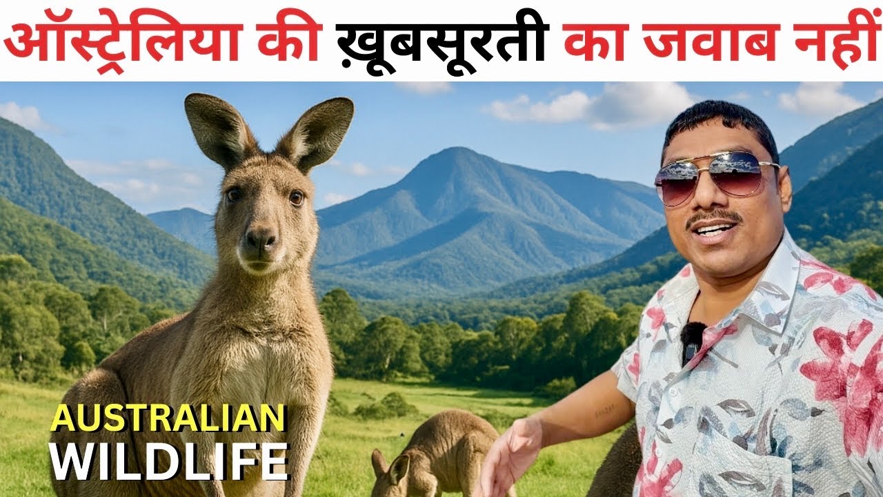 ऑस्ट्रेलिया मे कंगारू देखने और जंगल घुमने का अनुभव | Tidbinbilla Nature Reserve Canberra Australia