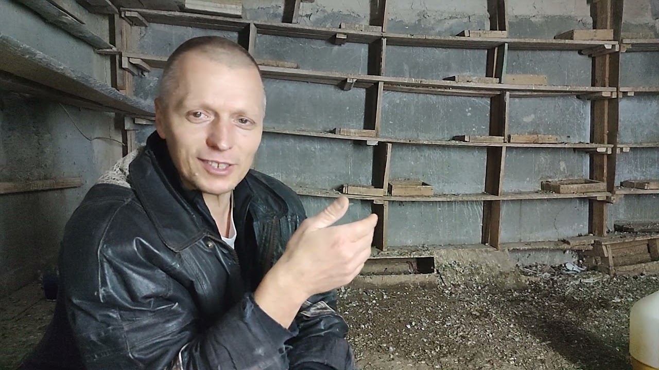 Правильное кормление голубей, один из важнейших аспектов разведения здоровой птицы