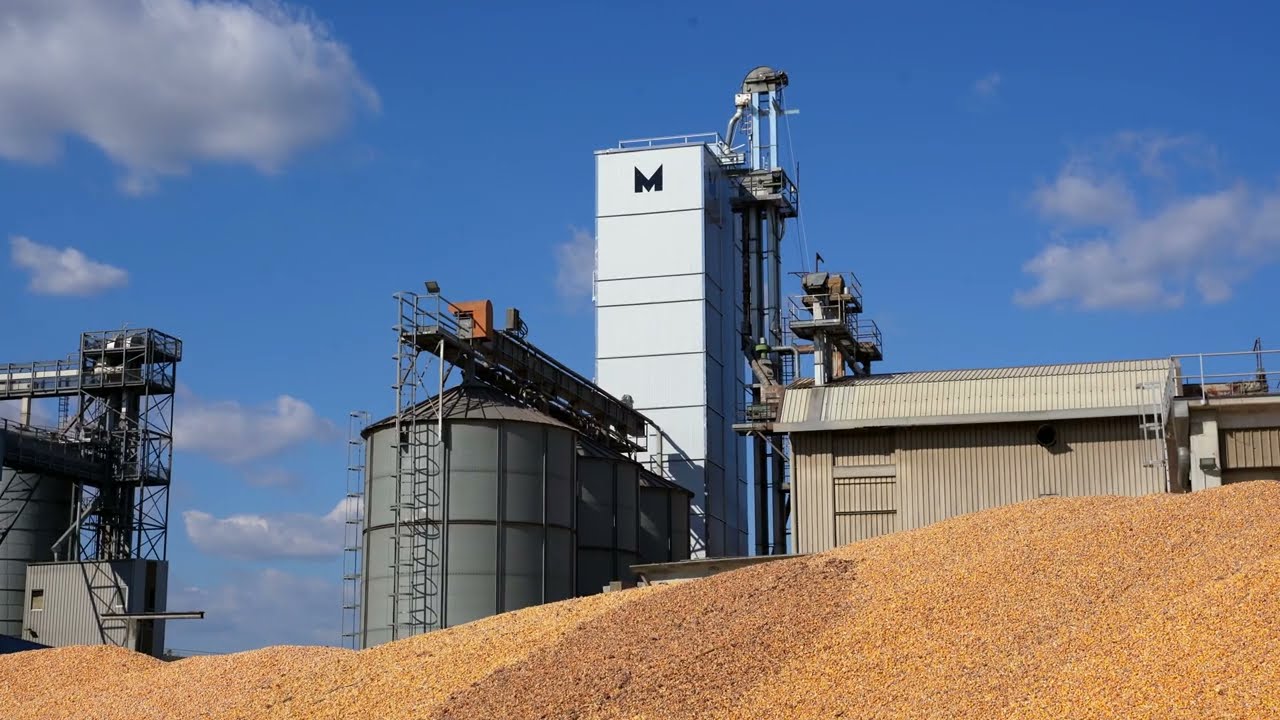 Continuous flow grain dryers: uniform drying and energy efficiency | Mecmar