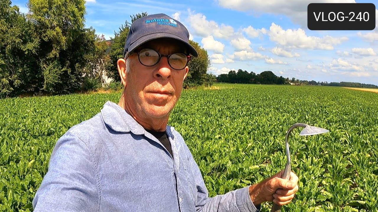 FARMVLOG #240 in vogelvlucht stand aardappelen, uien, suikerbieten en gerst
