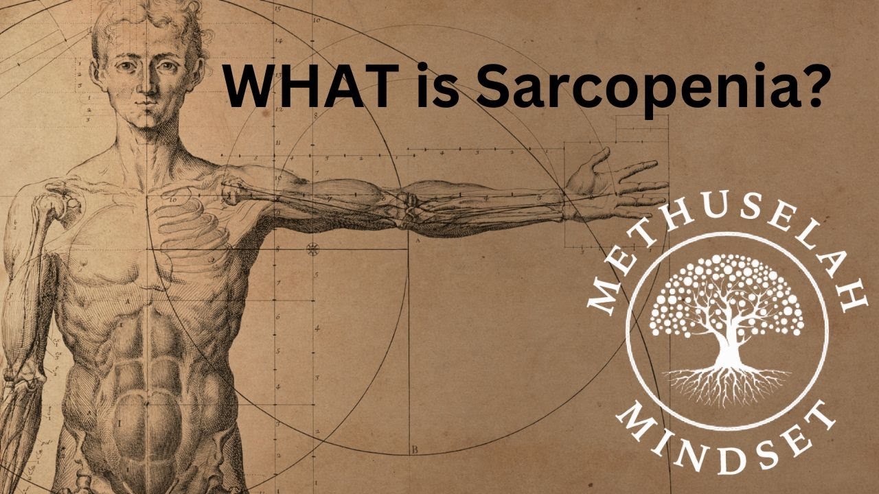 Sarcopenia Explained