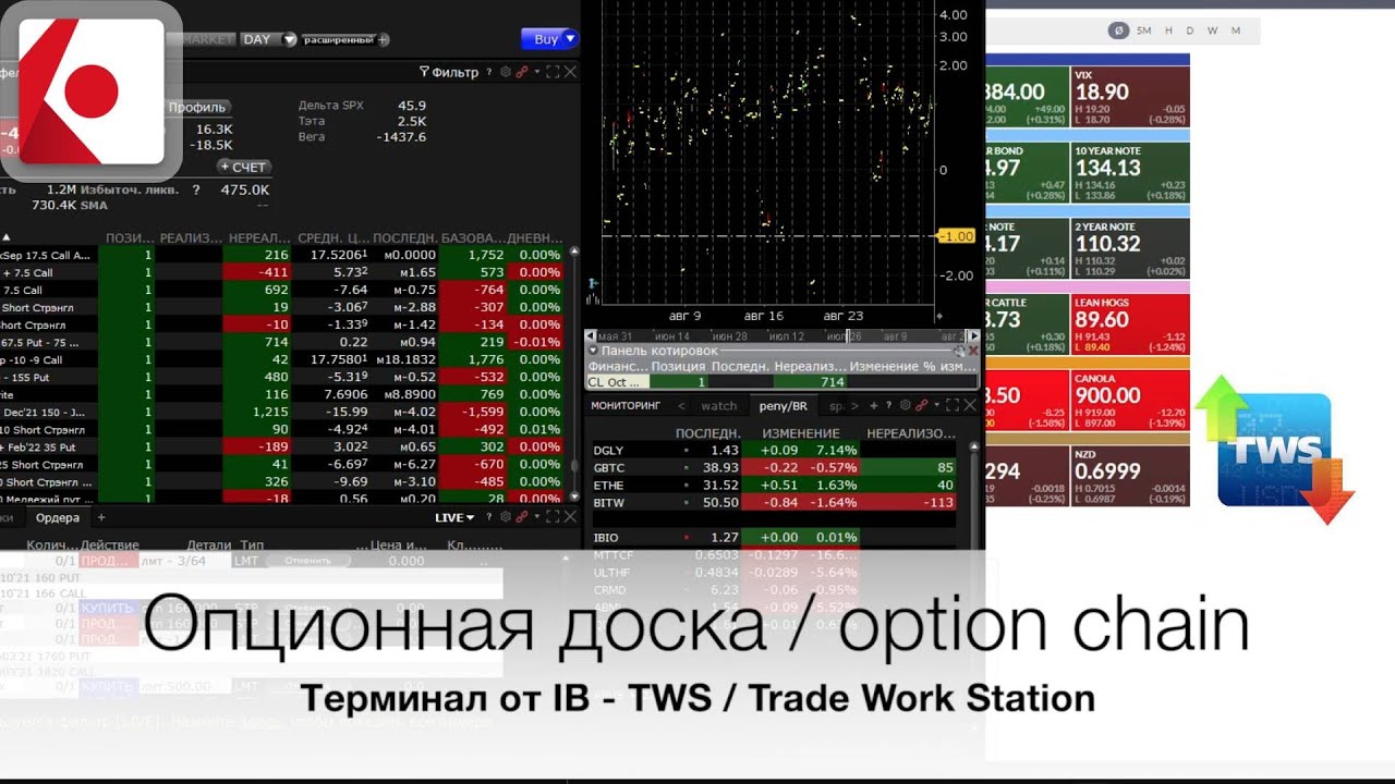 Опционная доска в платформе Trade Work Station (TWS) от IB | TIL Group