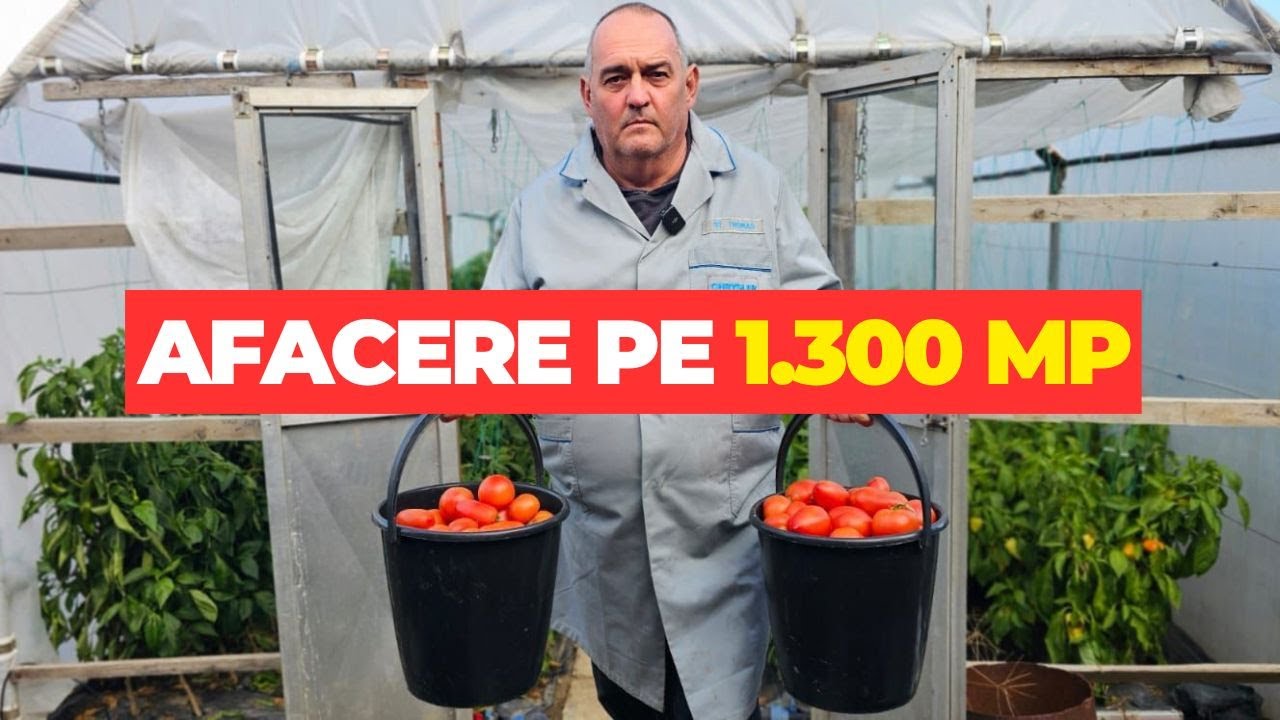 Dan Lăzărean - afacere cu legume pe 1.300 mp