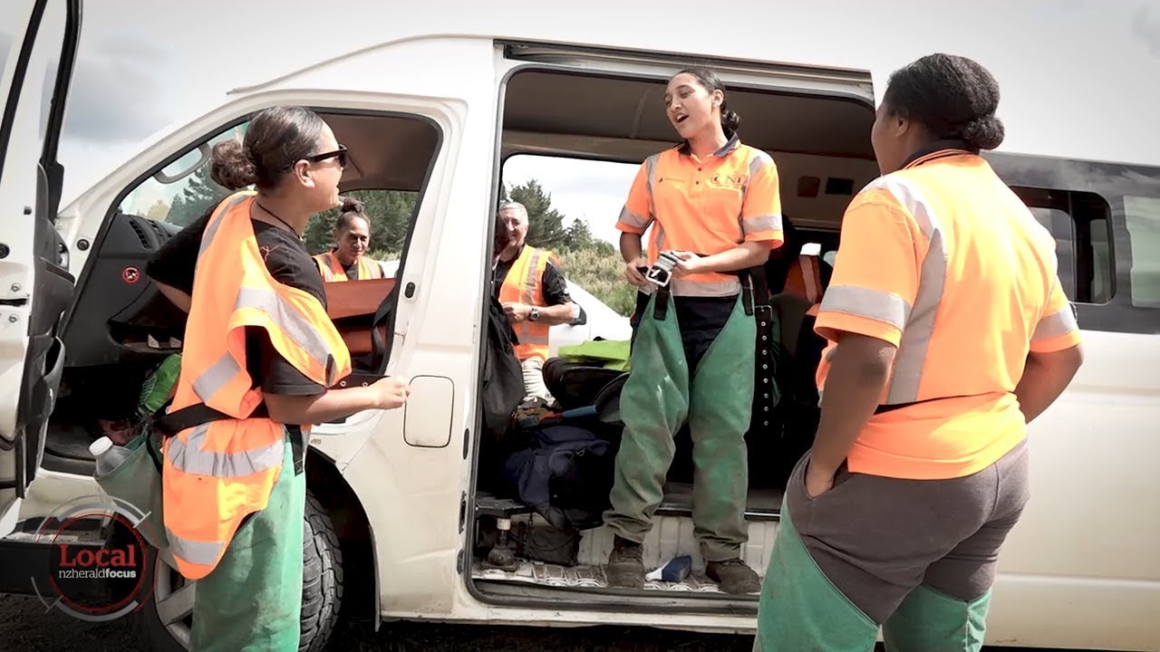 NZ's first all-female forestry crew | Local Focus