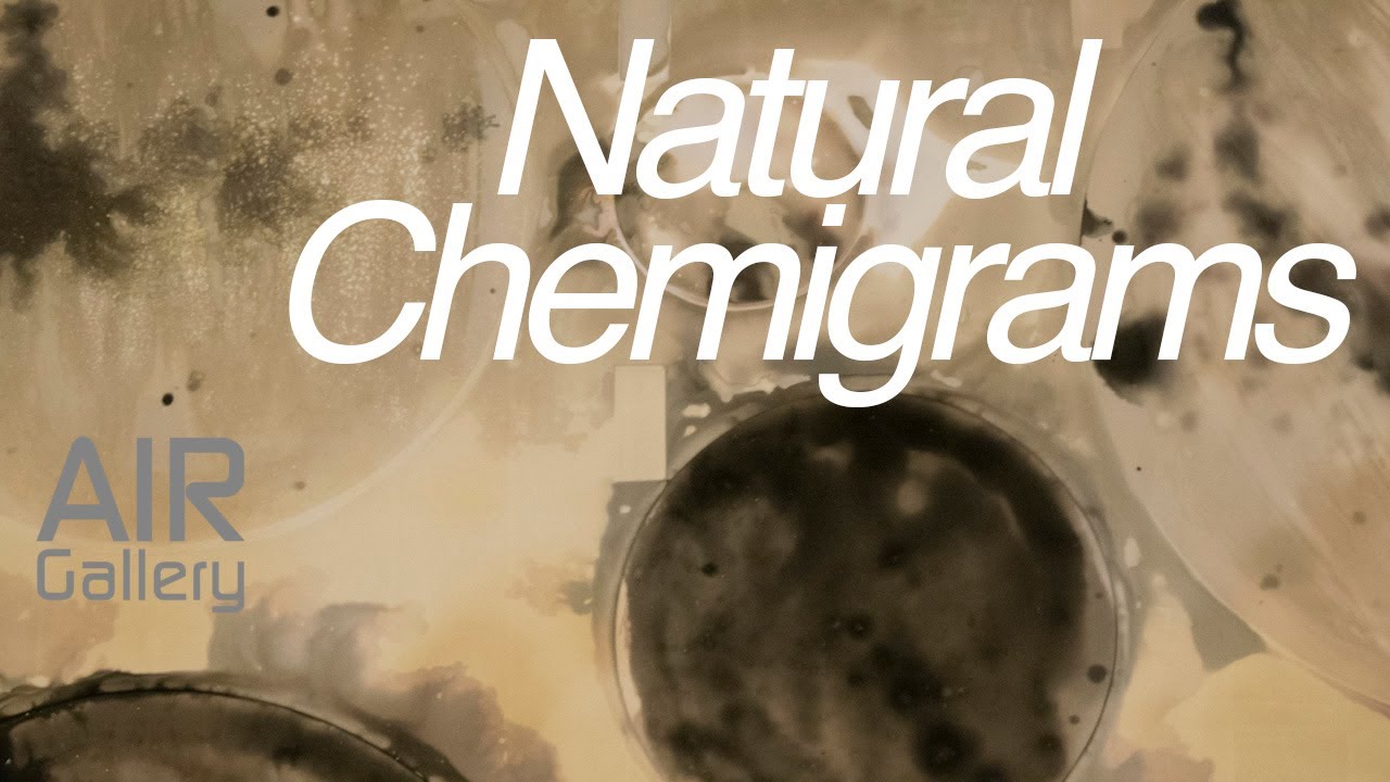 #DIY // Natural Chemigrams // Supported by AIR Gallery Altrincham
