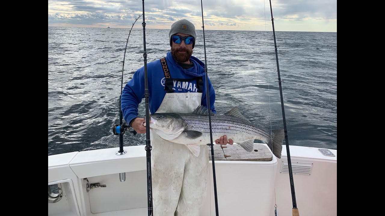 Trolling Umbrella Rigs for Mid November Striped Bass. And another BUTT KICKING!!!