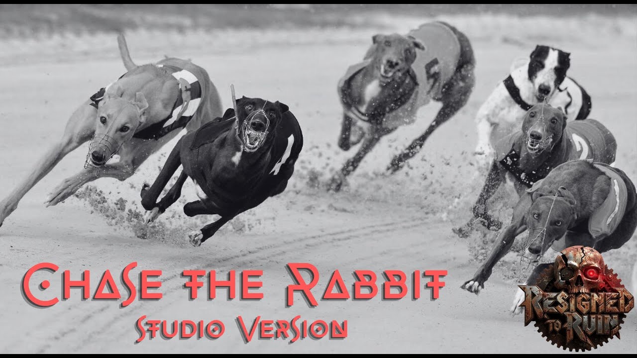 Chase the Rabbit – Death Metal – Mosh Pit