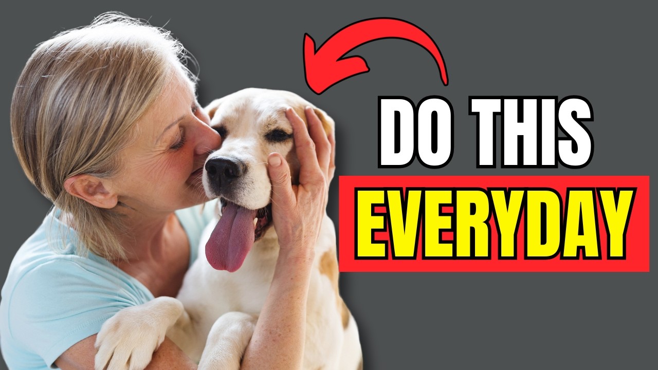 13 Things Dogs Love the Most!