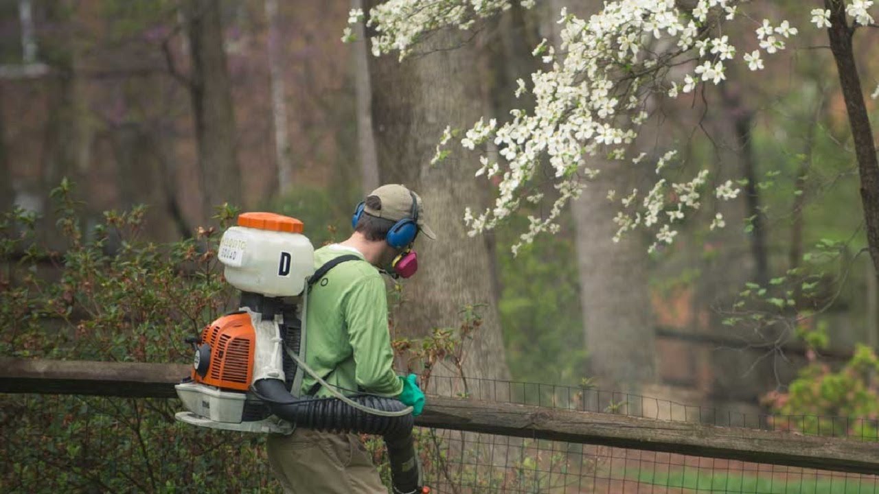 Mosquito Pest Control in North Houston Texas