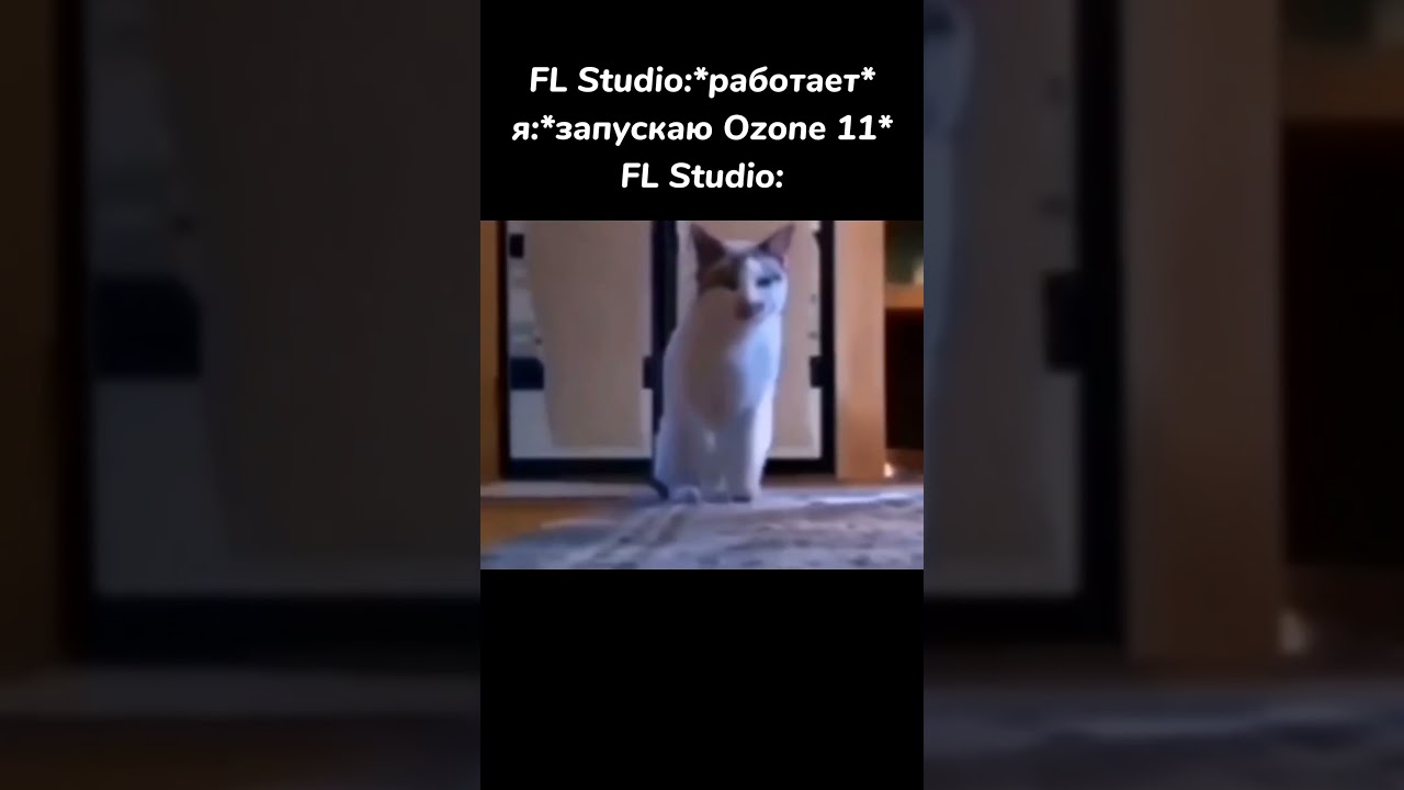 Fl Studio memes #shorts #flstudio
