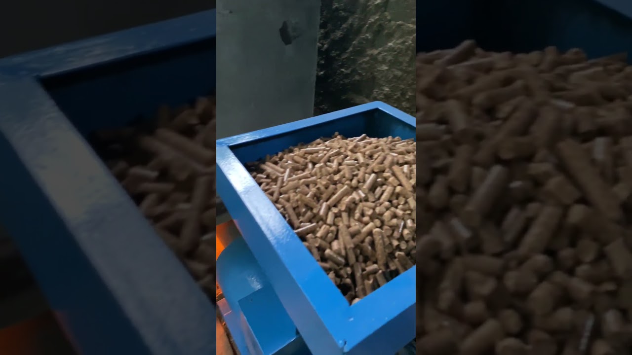 kompor biomassa otomatis berbahan bakar wood pellet. apinya mantaap.!
